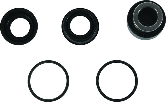 RENEGADE 1000 (2019 - 2019) lower front shock bearing kit | All Balls