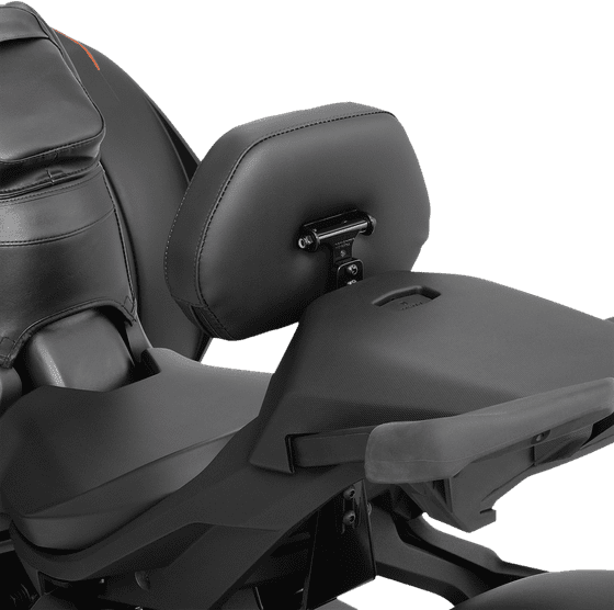 RYKER 900 ACE RALLY EDITION (2019 - 2022) detachable backrest for ryker | SHOW CHROME