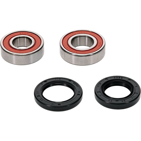 DS 250 (2006 - 2022) wheel bearing kit front | All Balls