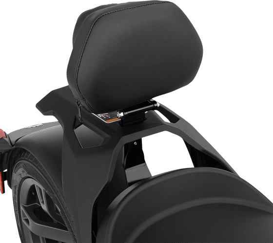 RYKER 900 ACE RALLY EDITION (2019 - 2022) can-am ryker back rest | SHOW CHROME