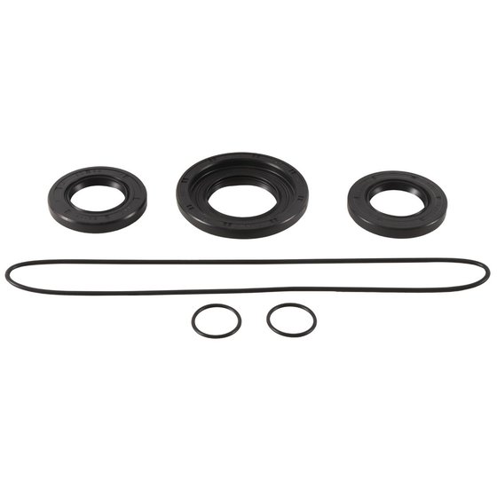 RENEGADE 1000 (2015 - 2018) differential bearing and seal kit front | All Balls