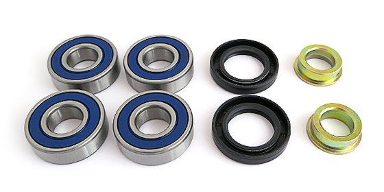 RENEGADE 500 (2013 - 2015) rebuild kit for rear independent suspension | EPI