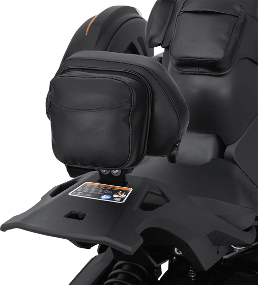 RYKER 600 ACE STD (2019 - 2022) can-am ryker back rest | SHOW CHROME