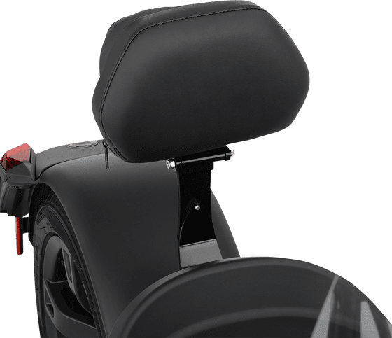 RYKER 600 ACE STD (2019 - 2022) can-am ryker back rest | SHOW CHROME