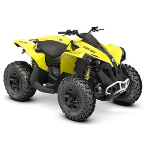 2019 - 2021 CAN AM 570 RENEGADE