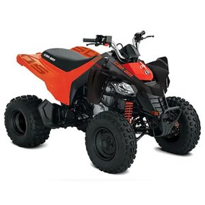 2020 - 2023 CAN AM DS 250