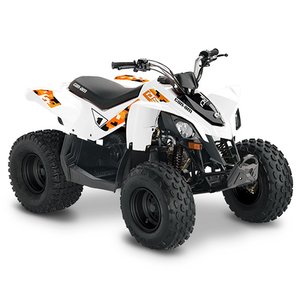 2010 - 2022 CAN AM DS 90 4T