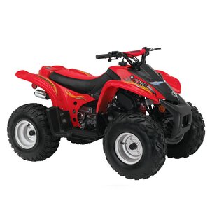 2002 - 2006 CAN AM DS 90 4T