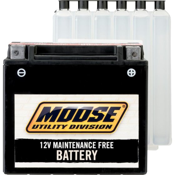 DS 70 (2008 - 2022) mud battery ytx4l-bs | MOOSE UTILITY DIVISION