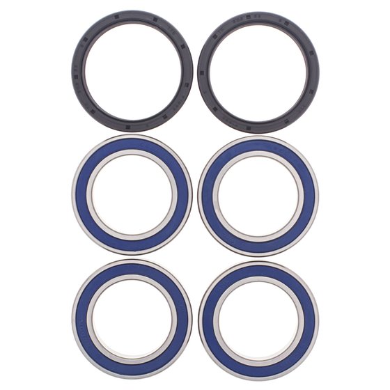 DS 450 (2008 - 2013) wheel bearing kit rear | All Balls