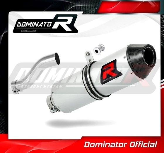 RENEGADE 800 (1970 - 2022) exhaust silencer mx2 | Dominator