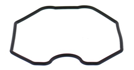 DS 250 (2006 - 2006) float bowl gasket only closed course racing only | All Balls